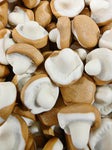 Foam Caramel Mushrooms 100g