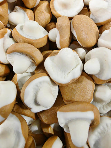 Foam Caramel Mushrooms 100g