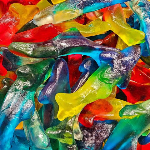 *New* Colourful Dolphins 100g