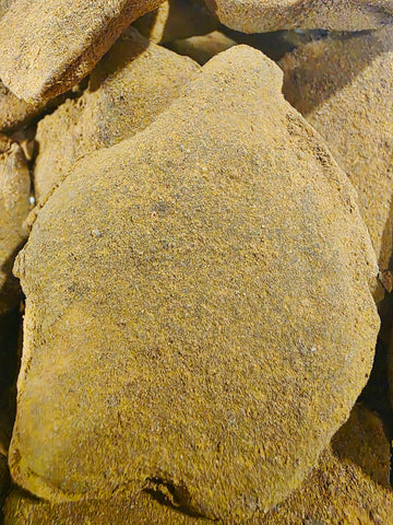 Large Lucky Tattie (x1)